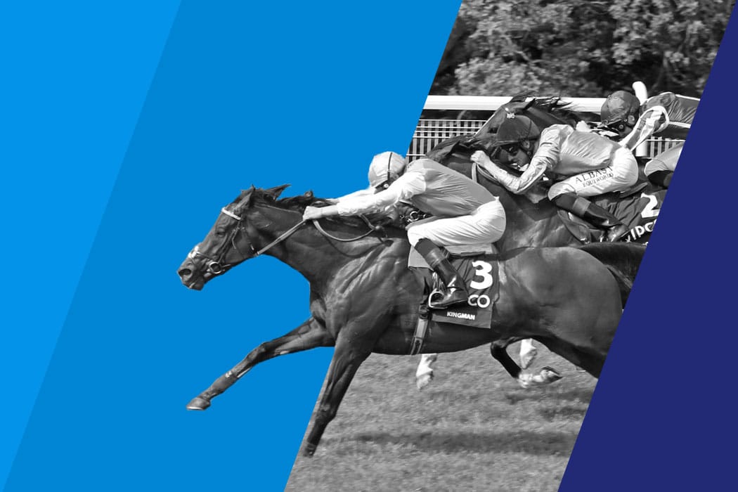 horse racing
